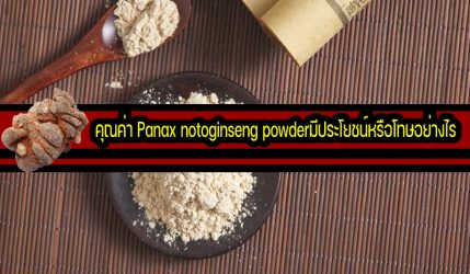 คุณค่า Panax notoginseng powderมีประโยชน์หรือโทษอย่างไร